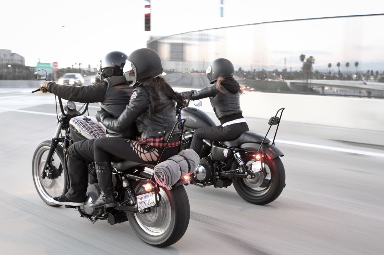 Sissy Seat For Harley Davidson Sissy Seat For Harley Davidson