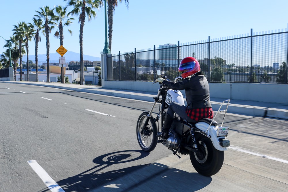 Burly Tall Sissy Bar For Harley Sportster 20042022 atelieryuwa.ciao.jp